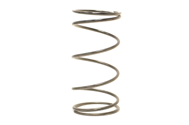 TiAL Sport MVR / MVS Wastegate Springs