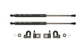 GReddy Carbon Fiber Hood Damper for Evo X (18530101)