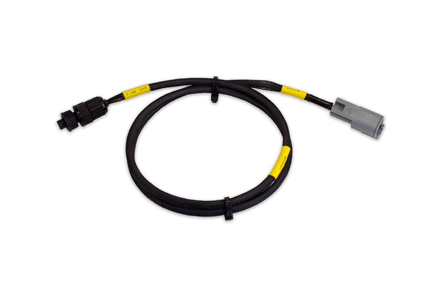 AEM Carbon Dash Harness for Vi-Pec/Link ECU (30-2215)