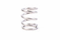 Radium Fuel Pressure Regulator Spring Wide Range (18-0046)