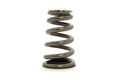 GSC 4B11 Evo X Conical Valve Spring Kit (5062)
