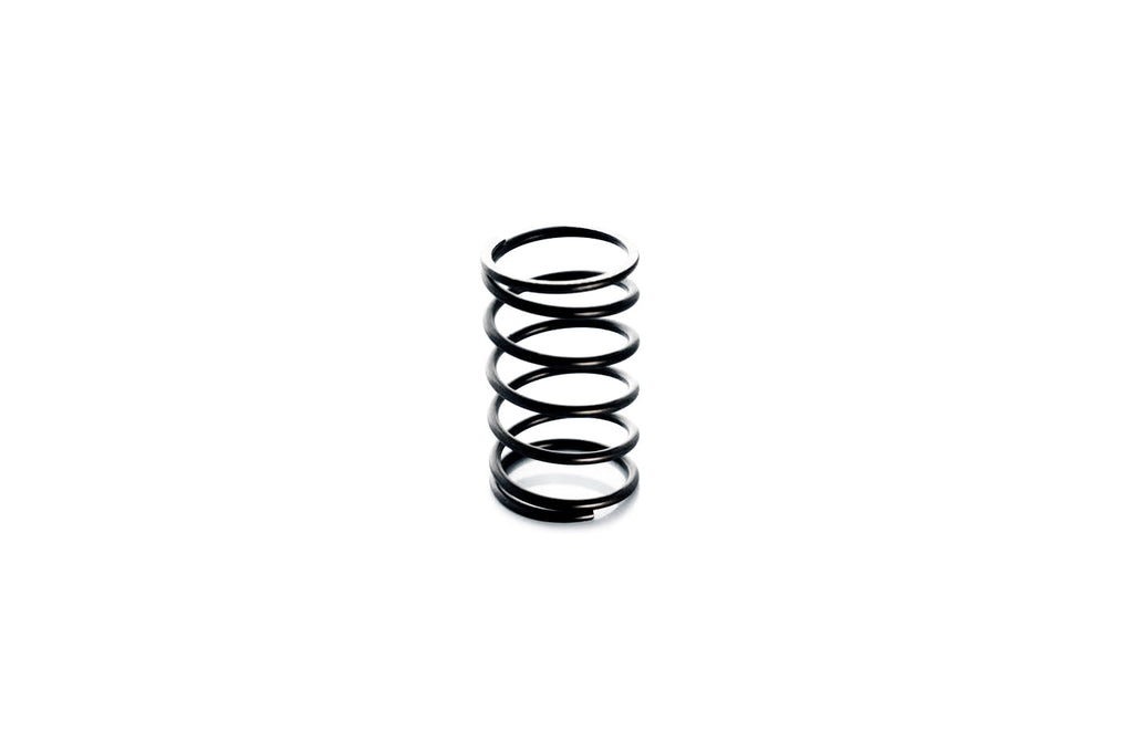 PTE Wastegate Springs for PW40