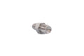 PTE Oil Restrictor Fitting 7/16 to -4AN (PTP074-2018)