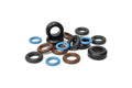 FIC Injector Seal Kit for High-Z Evo DSM (SLK 125/6x4H)